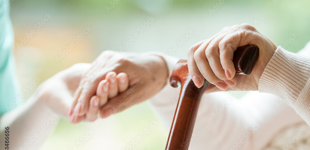 施設外観や共有スペースの写真