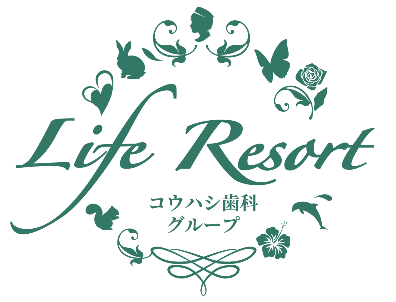 採用情報を見る