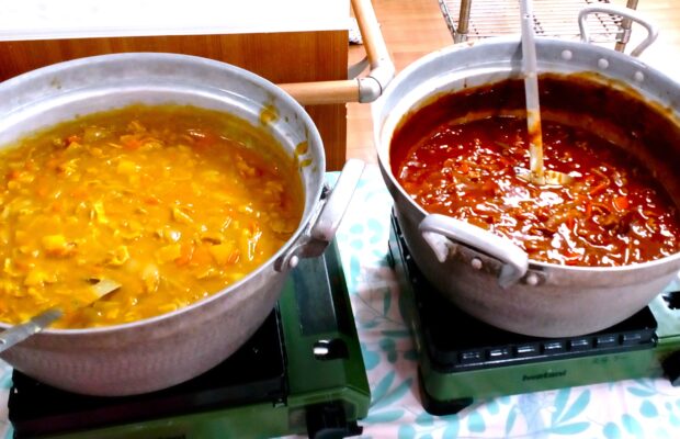 🍛カレーライスとハヤシライス🥄✨